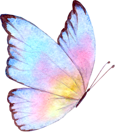 Multicolor Watercolor Butterfly