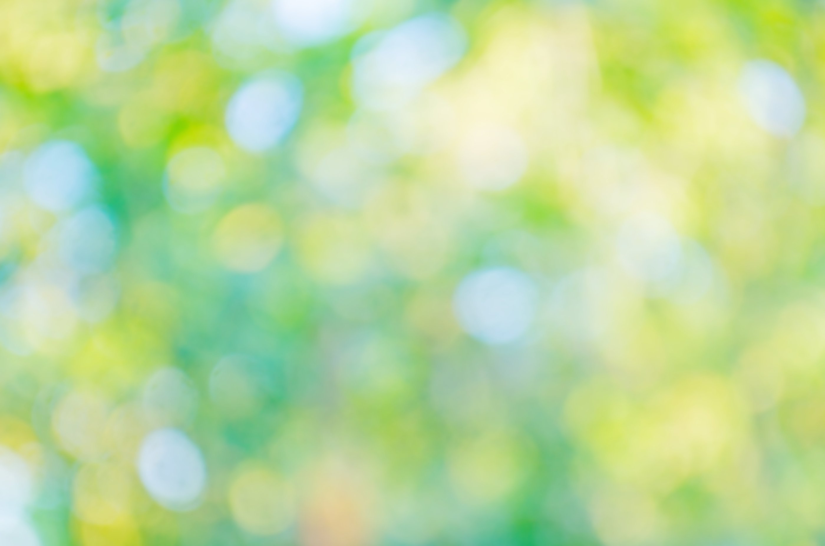 Green bokeh background. Green abstract bokeh