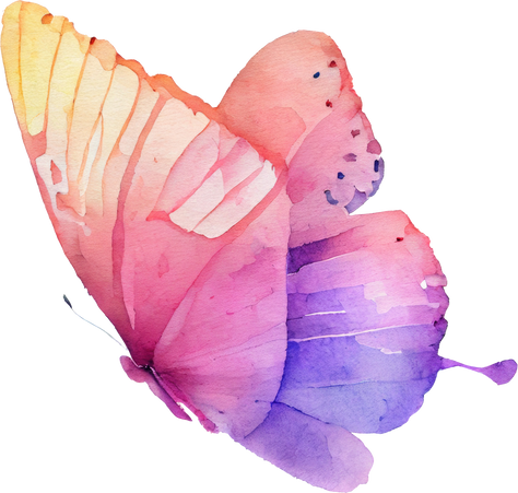 Butterfly Watercolor Illustration